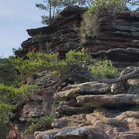 Pfalzride Appartement *