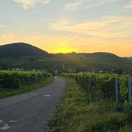 Gästezimmer Pfalzride *