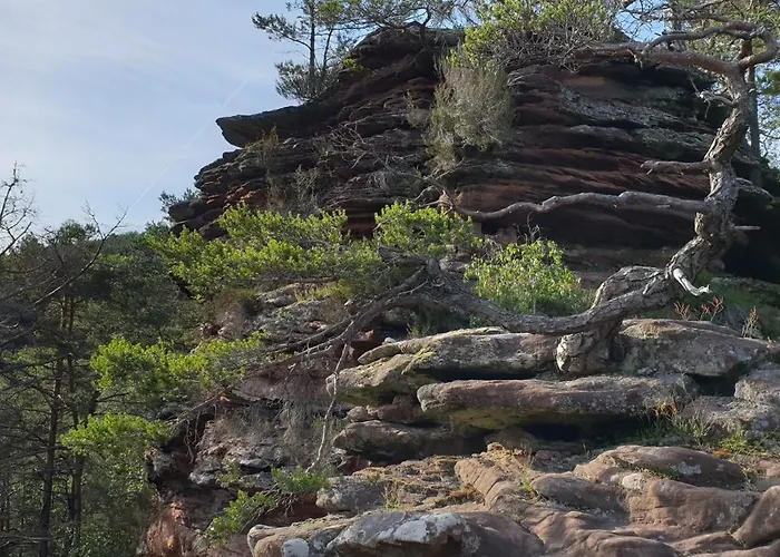 Pfalzride Apartamento *